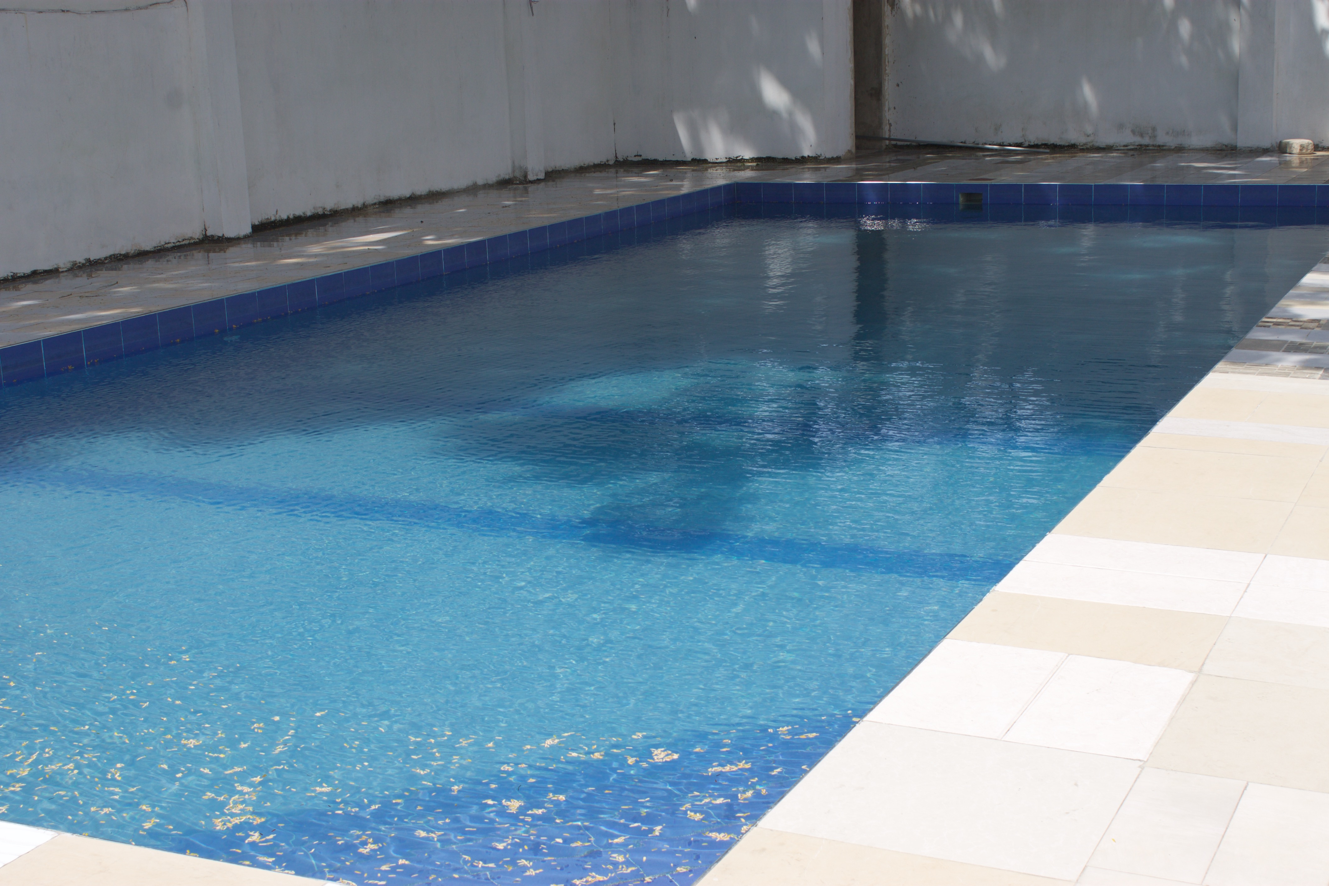 Apartment For Rent Oysterbay