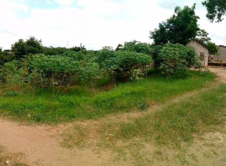 Plot For Sale in Wazo